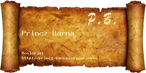 Princz Barna névjegykártya
